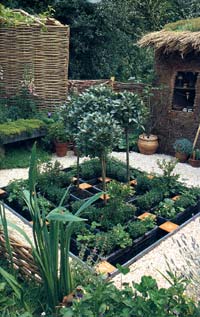 herb garden