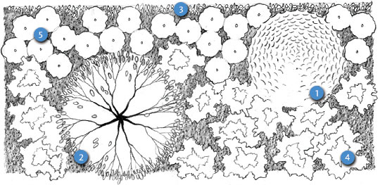 A Cool Garden in the Shade (Diagram)