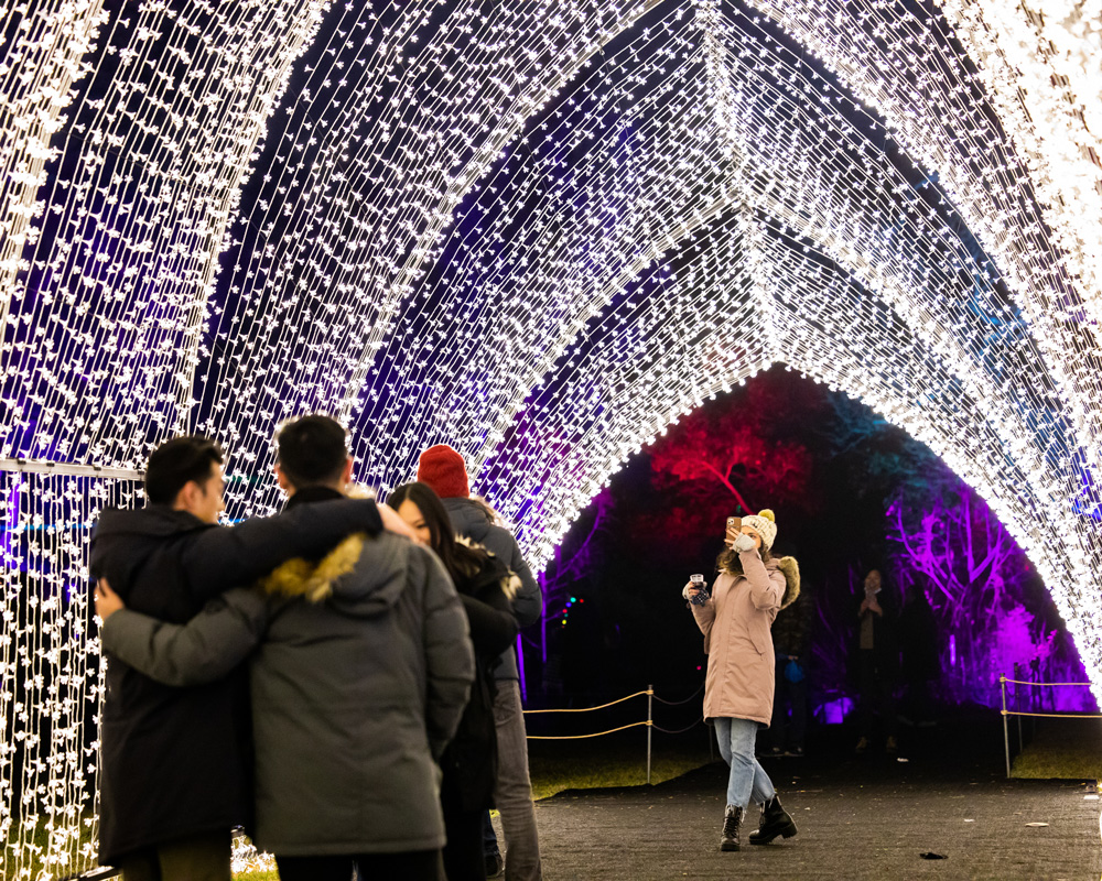 People take photos under a tunnel of tiny white lights.