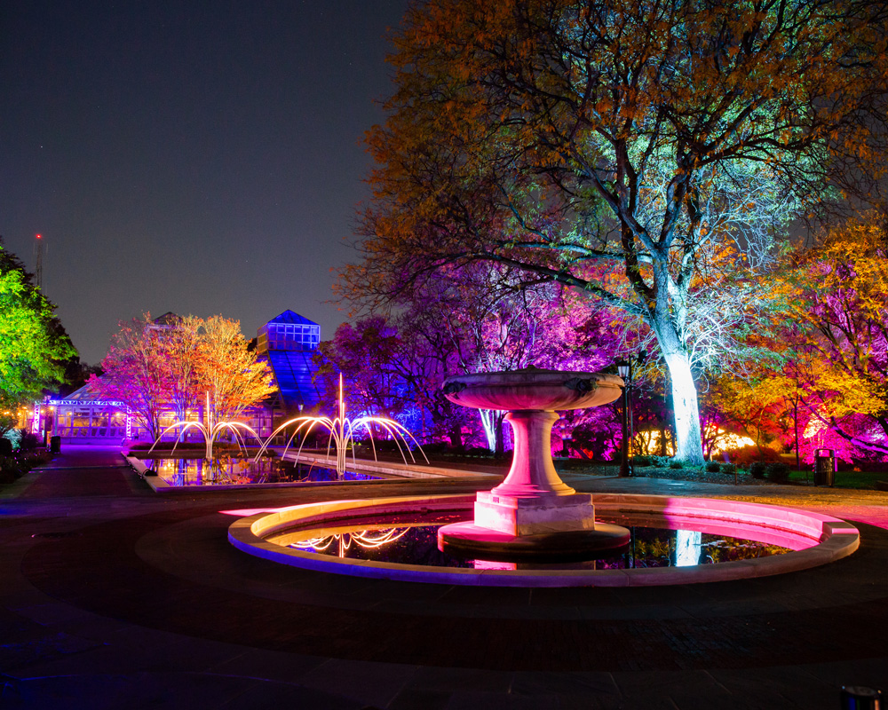 Colored lights shine on trees and iconic structures.
